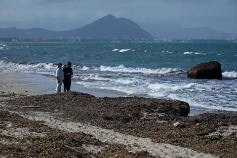 Der Strand von Alcúdia im April, der Vorsaison Der Strand von Alcúdia auf Mallorcas